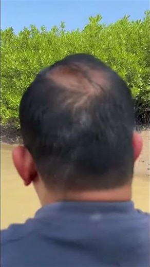 Sundarban Shocker: Bengal Tiger Spotted Just Meters Away!