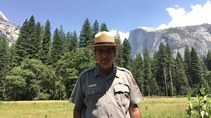 46K views · 732 shares | Yosemite is open and everyone is enjoying the beautiful scenery and hikes. #YosemiteNOW | Yosemite | Facebook