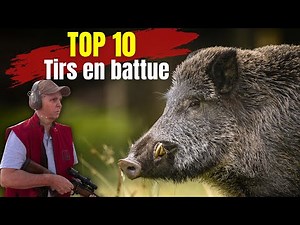 Compilation 10 tirs en battue