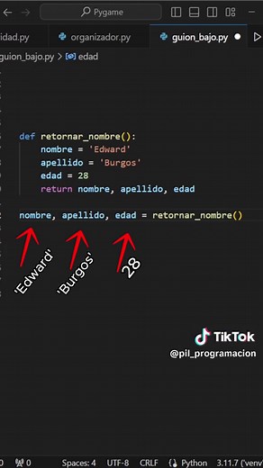 Guion Bajo en Python: ¿Qué Significa y Cómo Usarlo?