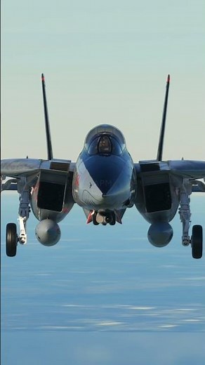 F-14 Tomcat Gear-Up Glory | Iconic Jet in Action