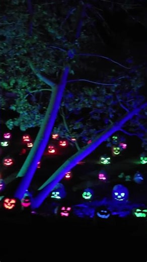 Colorful Jack-o-Lanterns at Magic of the Jack O'Lanterns
