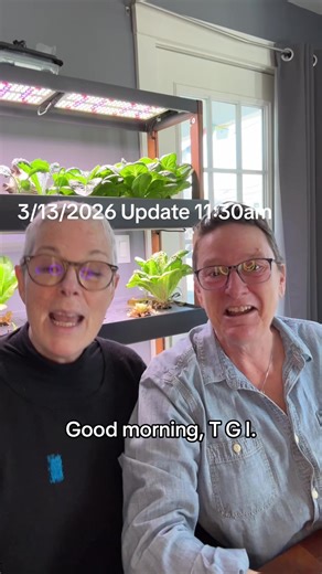 #fy #fyp | chocolate ding dong