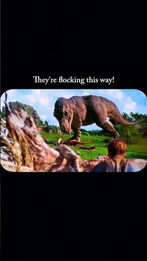 They're flocking this way!