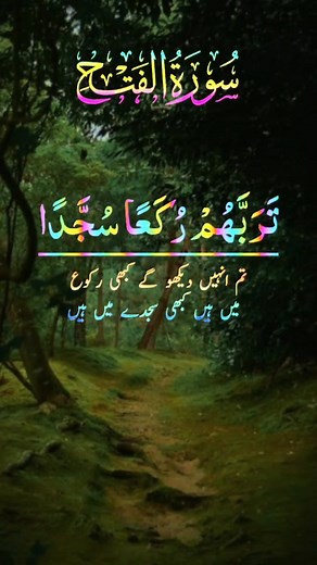 1.5K views · 104 reactions | #Watch the recitation of# Surah Fateh #al-Madinah | Hafiz Online Quran Academy | Facebook