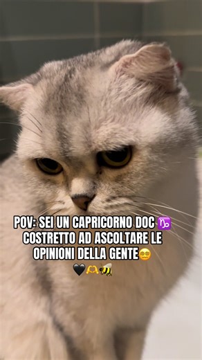 Eh sì cari amici Capricorno ♑️, purtroppo le persone parlano, usano la voce di continuo e spesso lo fanno senza prima pensare a cosa sta per uscire dalle loro bocche. E noi per forza di cose, siamo spesso costretti a sentirle…. 😩 E le nostre facce parlano da sole. Coraggio, torneremo a casa e sarà bellissimo 🤣 Un abbraccio Con affetto 🩵 La vostra Capricorninadoc 🖤🫶🐝 #teamcapricorn♑️ #meme #capricorno #tiktokitaly🇮🇹 #viral