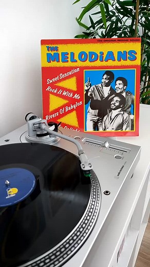 ReggaeOnVinyl on Instagram: "The Melodians - Rivers Of Babylon (Album: Sweet Sensation - Island Records - 1980) 🚨 Album repost from Jul 31, 2021 without the Reels length limitation. #reggae #reggaemusic #reggaeonvinyl @reggaeonvinyl #reggaevinyl #rootsreggae #recordoftheday #vinylcollection #vinylcollector #reggaevinylcollector #reggaevibes #reggaecollection #reggaeroots #reggaelovers #reggaerecords #nowspinning #vinyloftheday #jamaica #jamaicanmusic #jamaican #jamaicanculture #reggaevideo #reg