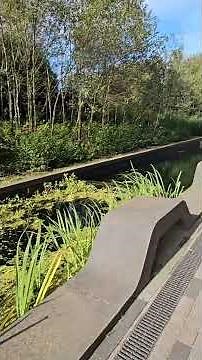 🎓 Warwick University Walking Tour – Campus Life in Motion 🌳🏫