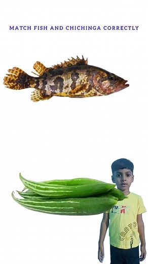Match fish and chichinga correctly #reelsviralシfb #fbreels #fbreelsvideo #reelsviralfb #reelsfypシ #reesl #photo #reel #reels #fish | Voice Of Aynal