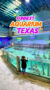 🌊✨ Dive into an unforgettable adventure at the Houston Interactive Aquarium & Animal Preserve! Located at 📍 5440 N. Sam Houston Pkwy E., Humble, TX, this place has it all—from tropical birds to snorkeling with stingrays! 🐠🐢 General admission is $29.95 for adults, $24.95 for kids (3–11), seniors, and military, and it’s free for kids under 2. Open daily, 10 AM – 7 PM, and till 8 PM on weekends! 🕒 Free on-site parking, and overflow parking is available with a $5 fee. 🌟 Visit for a day of hand