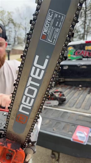 Professional Tree Cutting and Land Clearing Services