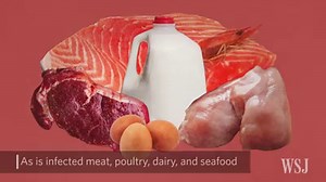 43K views · 162 reactions | Most E. coli strains are harmless and considered an important part of a healthy human intestinal tract. But the one behind the Chipotle cases, known as STEC 026, is a different story. Here's what you need to know. | The Wall Street Journal | Facebook