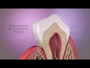 Colgate Pro-Argin - How It works