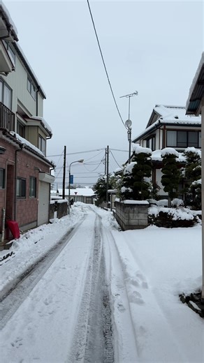 日本の風景と文化体験