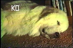 Betamax #4 : Free Download, Borrow, and Streaming : Internet Archive