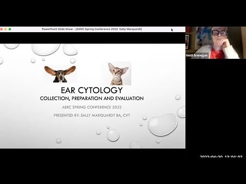 Veterinary Ear Cytology Review – Sample collection, preparation and microscopic findings