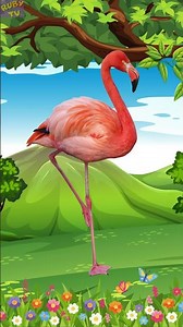 Khám Phá Các Loài Chim Cùng Bé | Ruby TV World #funny #convật #animals #education #edutok #quiz