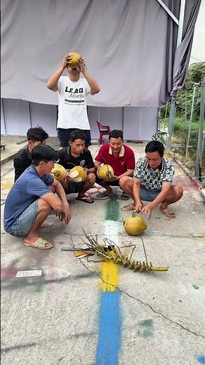Cách lấy nước dừa nhanh nhất và cái kết cười xỉu #phuoclay