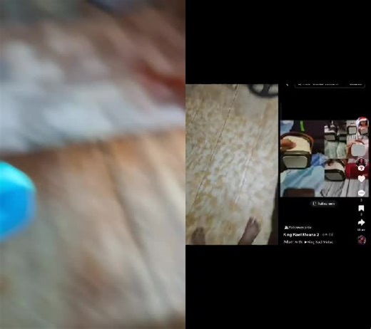 #duet with @user3001261892