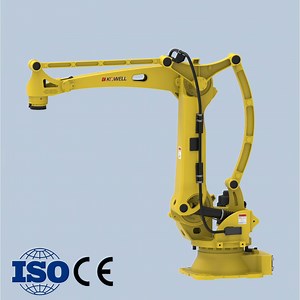 [Hot Item] Automatic Palletizer Packing Machine in Food and Beverage Industry