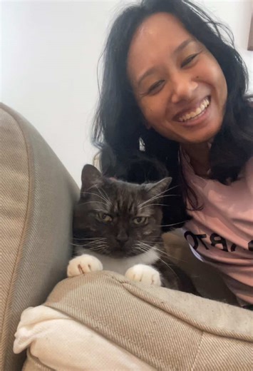 Adorable Grumpy Cat Moments You Can't Miss!