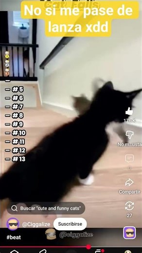 en el gato que decía como ways tho die era always tho die