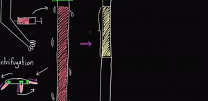 What's inside of blood?