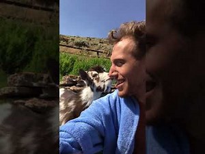 Watch: Man gets into hilarious argument with a baby goat.