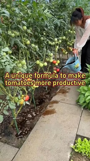 The Veggie Gardener | Still struggling to grow veggies?👇 🥕 Whether it’s your first garden or your fifth, this guide walks you from seed to harvest — with... | Instagram