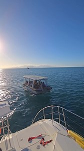 Set sail sustainably with Sailaway Port Douglas to Low Isles. Experience the world's first all-electric tender and glass bottom boat, offering a whisper-quiet, eco-friendly way to explore the #GreatBarrierReef. Snorkel with marine biologists, enjoy a guided island heritage walk and appreciate the beauty of the reef's vibrant underwater world. This Eco-Certified operator showcases sustainable tourism at its finest. #EcoHeroes 🎥: Amy's Camera Lens Tropical North Queensland Visit Queensland, Austr