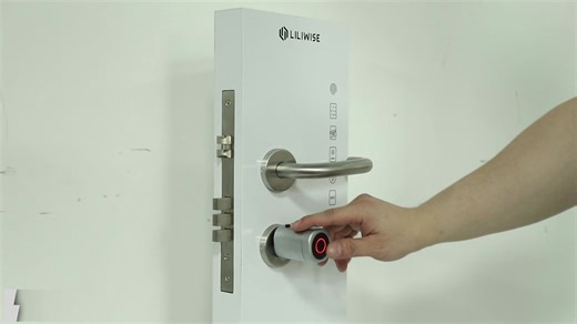 Liliwise Tuya Ttlock Fingerprint RFID Card Key Door Lock Adjustable WiFi BLE Smart Cylinder Lock for Replacing Old Mechanical