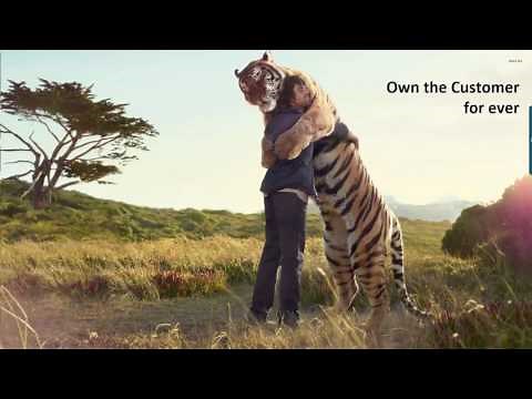 Microsoft CSP Overview