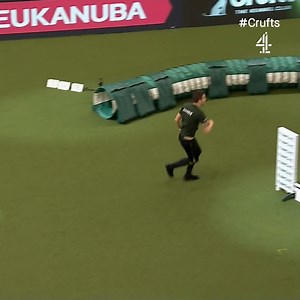 998K views · 10K reactions | Running like champions elect  Martin and Selfie bossed their agility run on the final day of #Crufts 2023, to become this year's Small Agility Competition Winners  | Crufts | Facebook