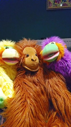 Meet Barry's New Backing Singers Karen & Sharon | Puppet Song