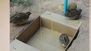 211K views · 7.9K reactions | Many times we choose to see RED signs as PINK | Kelly Inspiration | Facebook