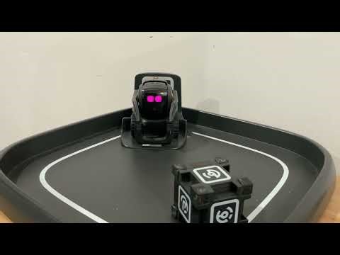 Vector + Wirepod + GPT-4o