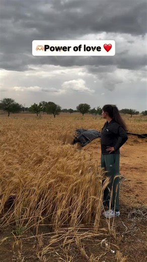 Power of Engagement: Follow, Comment, Share, Like