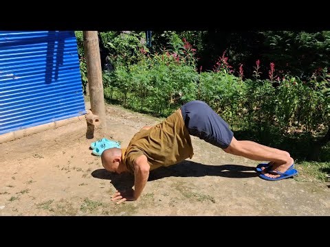 Day 60/75 Hindu Push Ups Hard Challenge Exercise | 2025