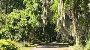 Staff pick: Best Florida state parks, bike trails, rails-to-trails