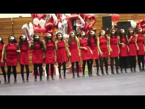 The Gamma Iota Chapter of Delta Sigma Theta Sorority, Inc. (Spring 2016 NIP)