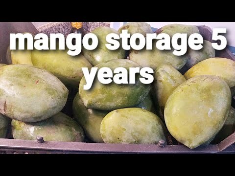 How to properly store mangoes and how to choose the right mangoes