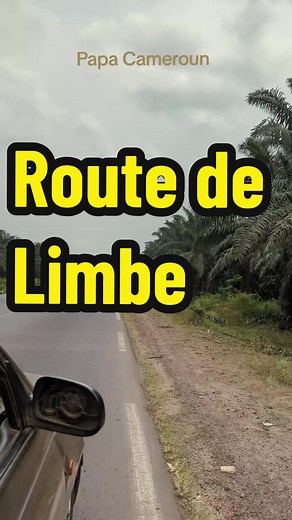 Route de Limbe - La 12e Ville du Cameroun | Vidéo Montrant une Route Chic et Propre