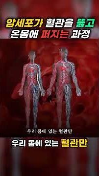 How Cancer Cells Break Through Blood Vessels and Spread Throughout the Body #1380