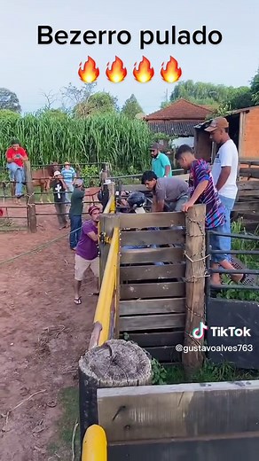 #treino #rodeio #viral #esporte #rodeioemtouros #tiktok #foryou #vairal #boi #fyp #touro #hashtag