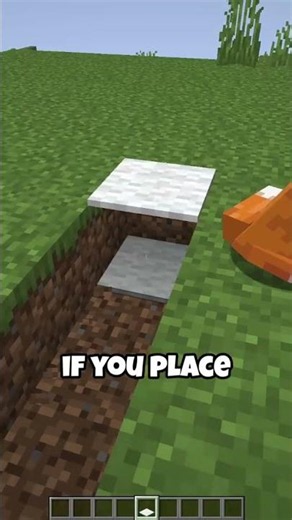 Carpets Break Minecraft Mobs #shorts