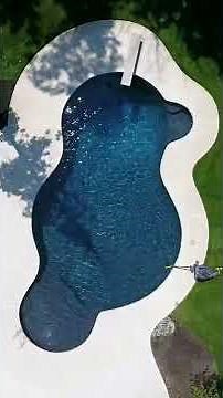 Fast POOL Cleaning Trick