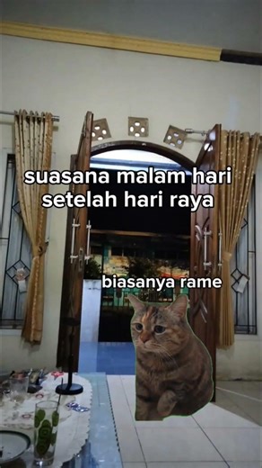 meme kucing, malam hari setelah hari raya #cat #meme #kucing