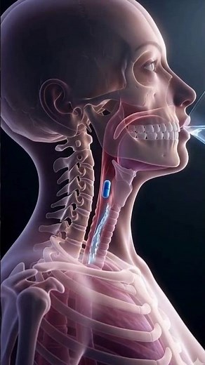 The Secret Journey of a Tablet Inside Your Body