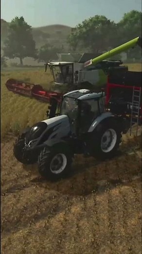 VALTRA T255 VERSU + CLAAS LEXION 6900 Harvesting Soybeans 🌾 | FS25
