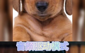 Motionface让你的狗子成为虚拟主播配音说话